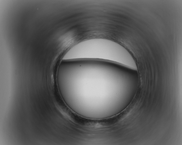 X0000088490254200705221028