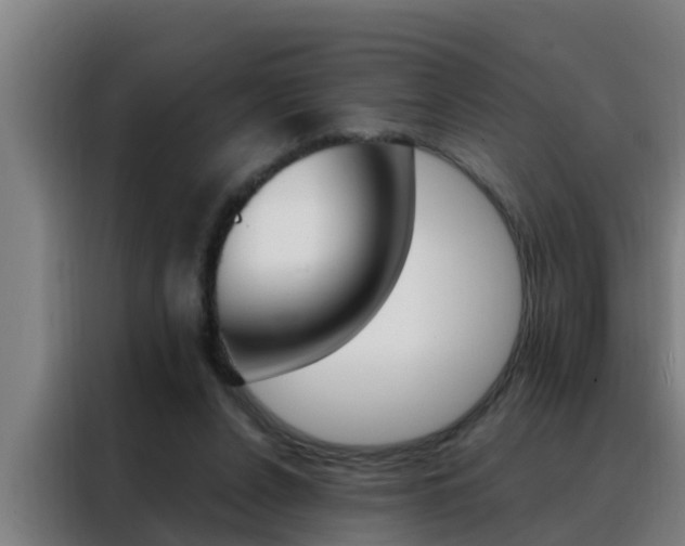 X0000088490256200705221028
