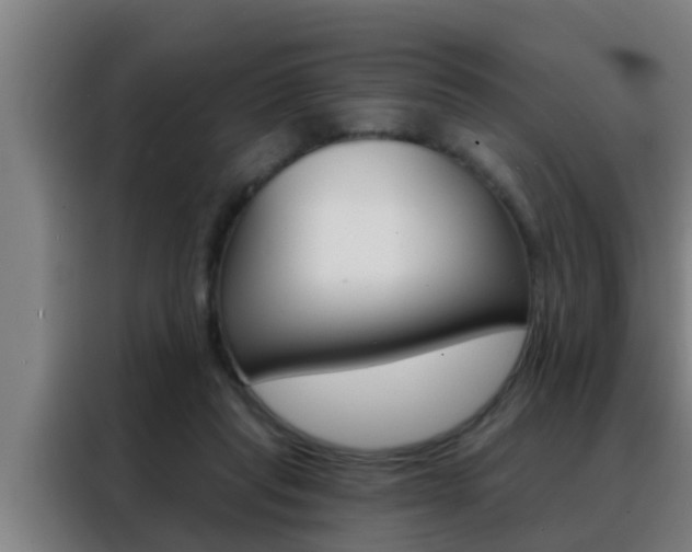 X0000088490261200705221028