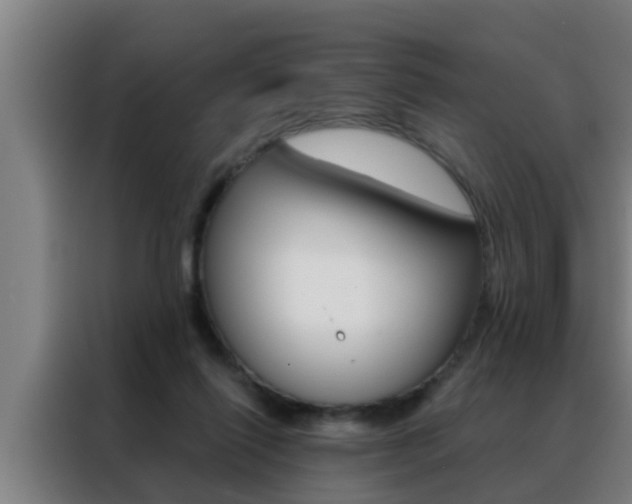 X0000088490262200705221028