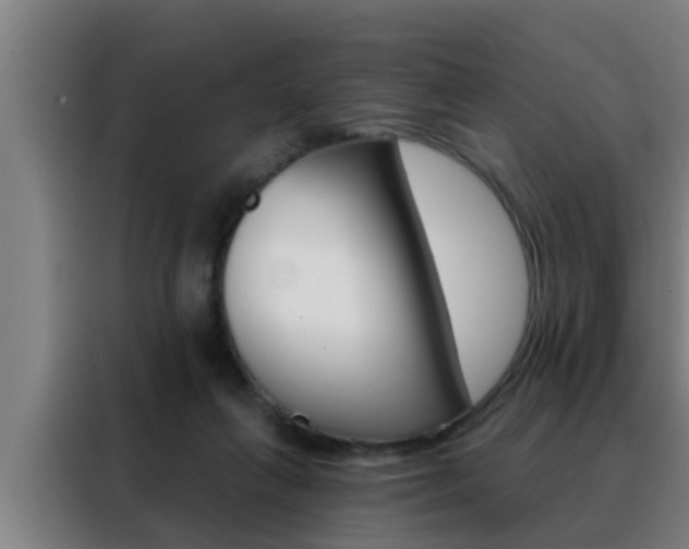 X0000088490263200705221028