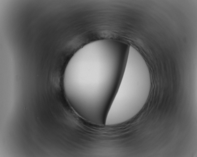 X0000088490266200705221028