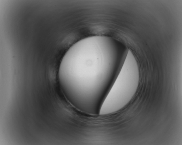 X0000088490268200705221028