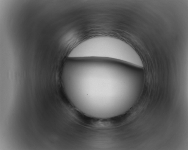 X0000088490270200705221028