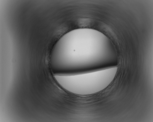 X0000088490277200705221029