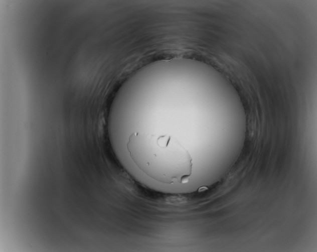 X0000088490279200705221029