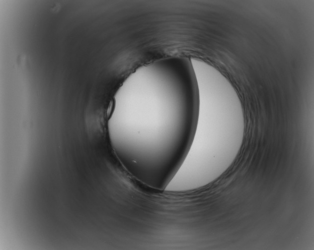 X0000088490280200705221029
