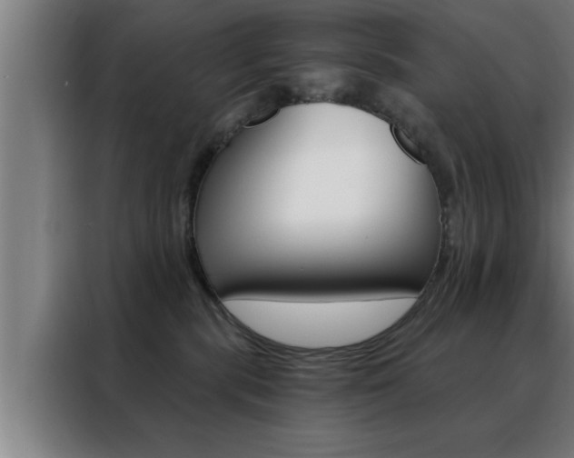 X0000088490283200705221029