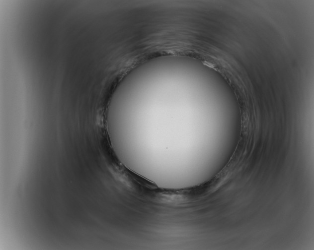 X0000088490284200705221029