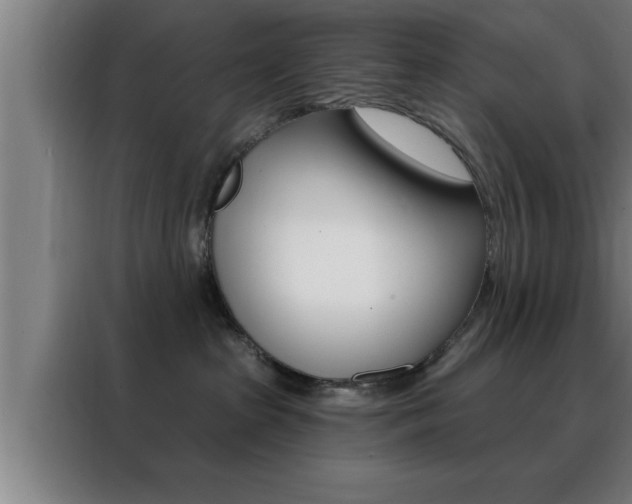X0000088490285200705221029