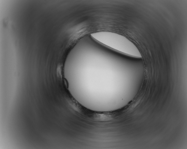 X0000088490286200705221029