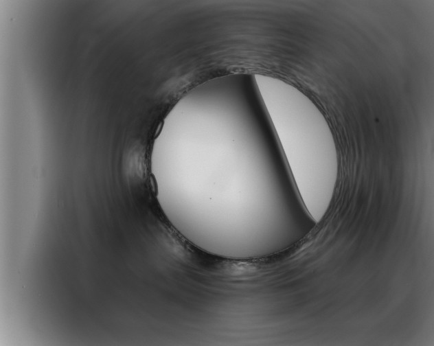 X0000088490287200705221029