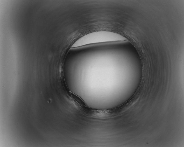 X0000088490288200705221029