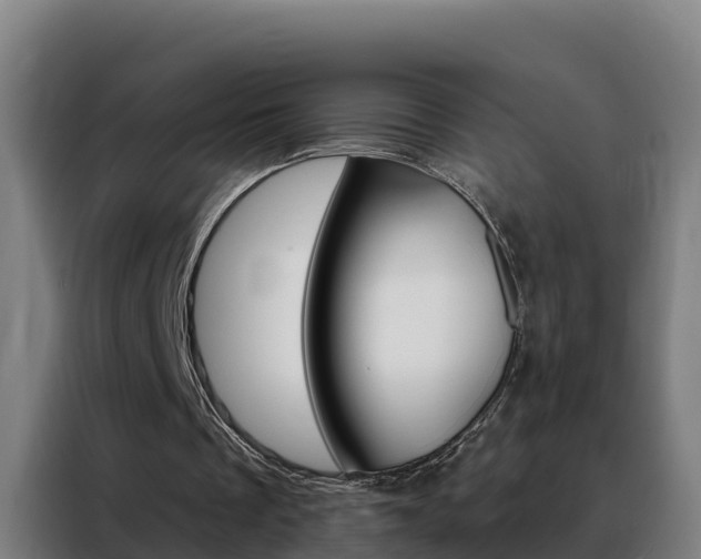 X0000088490289200705221028