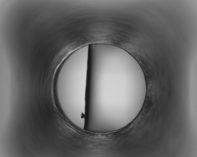 X0000088490290200705221028