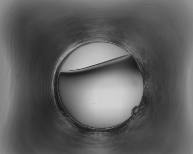 X0000088490292200705221028