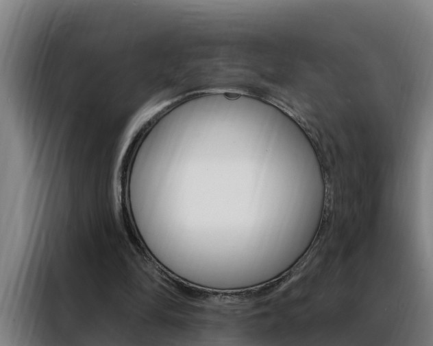 X0000088490294200705221028