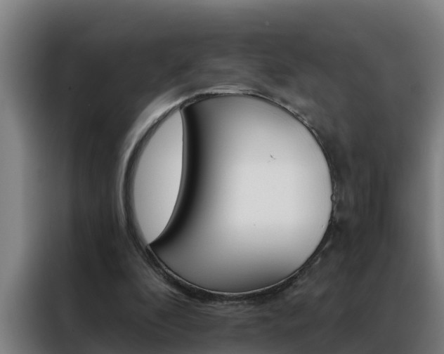 X0000088490296200705221028