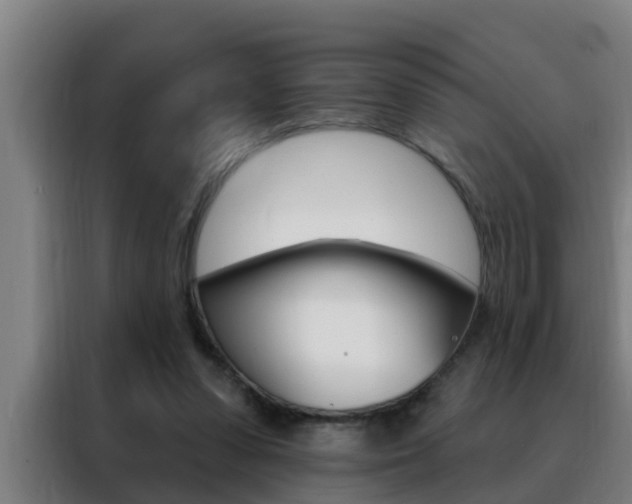 X0000088490303200705221028