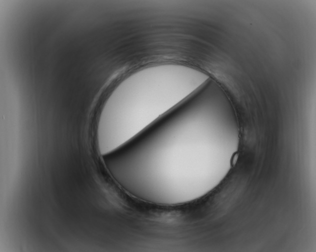 X0000088490304200705221028