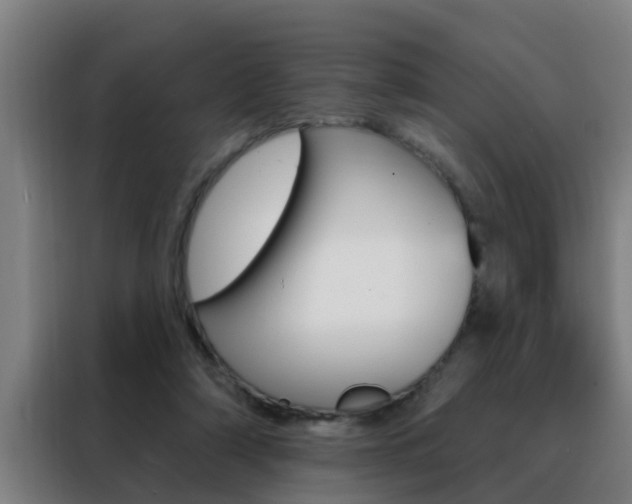 X0000088490306200705221028