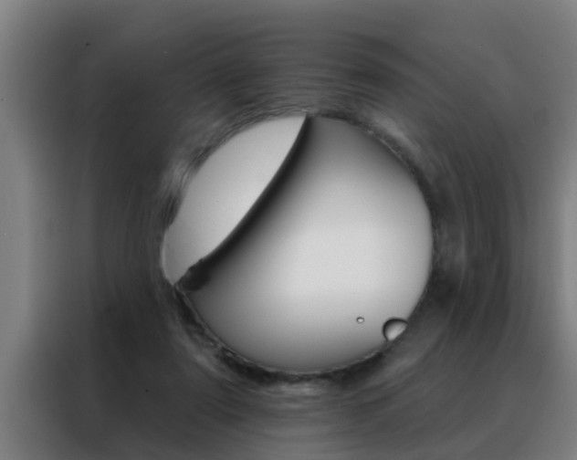 X0000088490307200705221028