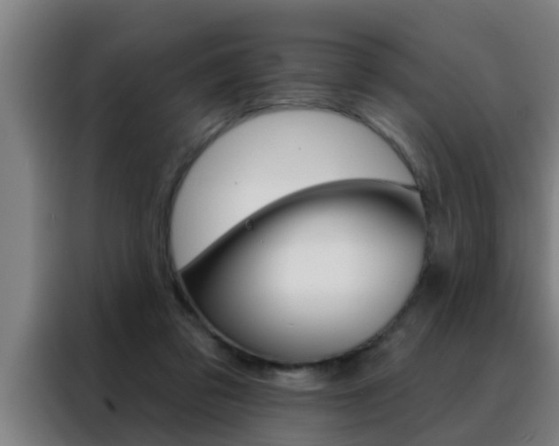 X0000088490309200705221028