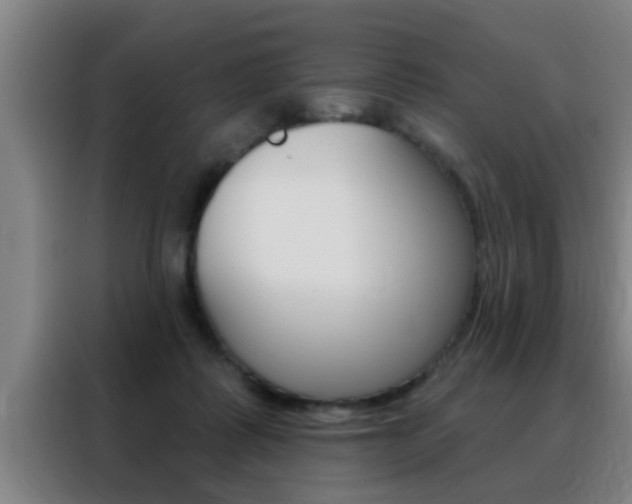 X0000088490315200705221028