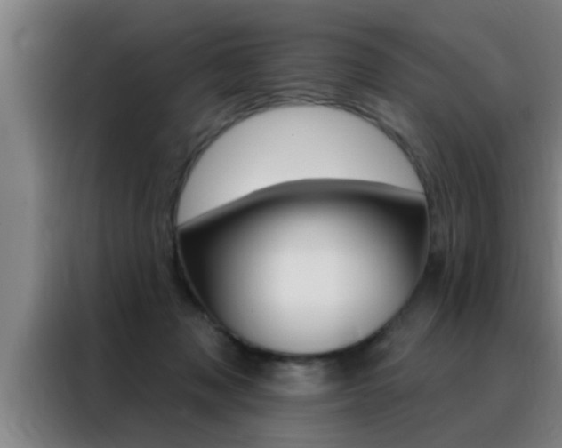 X0000088490317200705221028