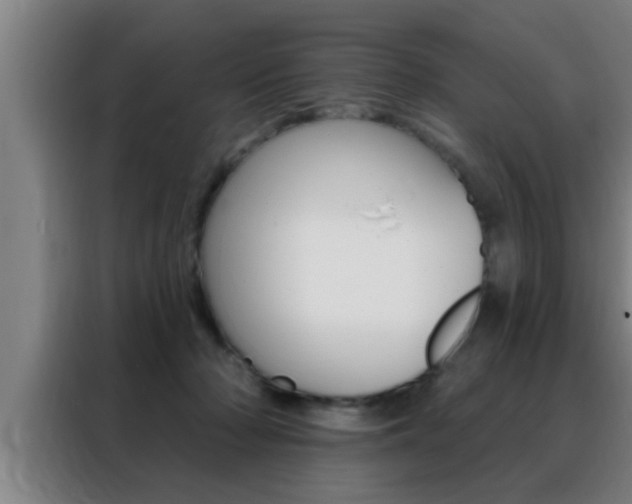 X0000088490318200705221028