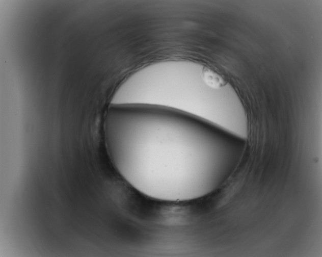 X0000088490319200705221028