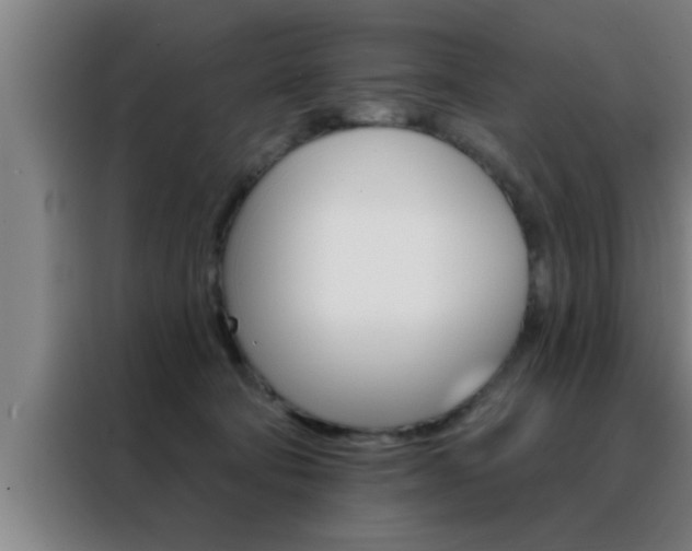 X0000088490322200705221028