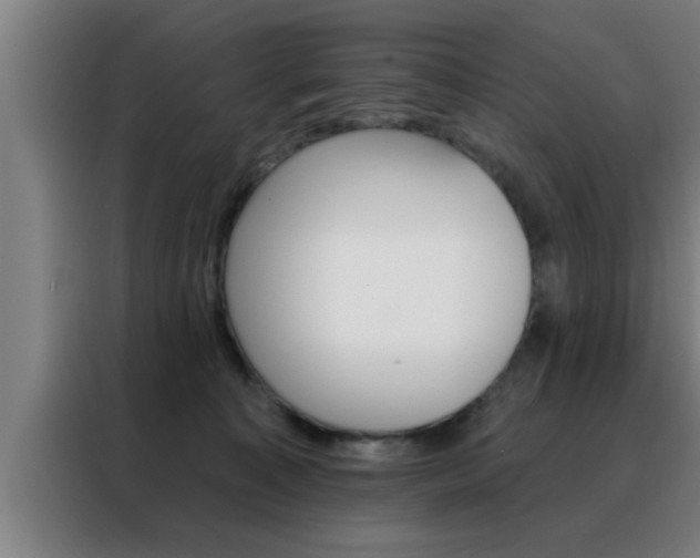 X0000088490323200705221028