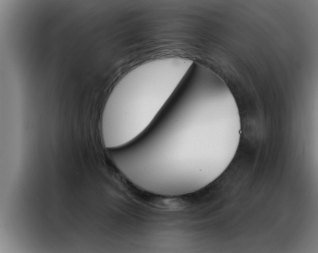 X0000088490324200705221028