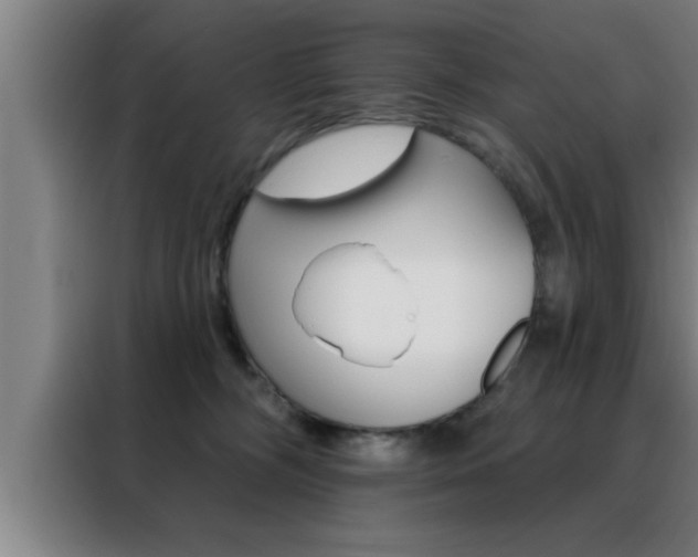X0000088490326200705221028