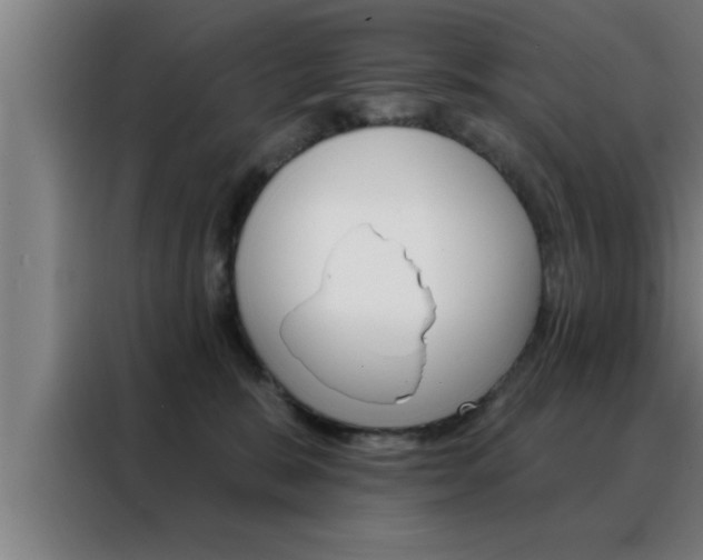 X0000088490327200705221028