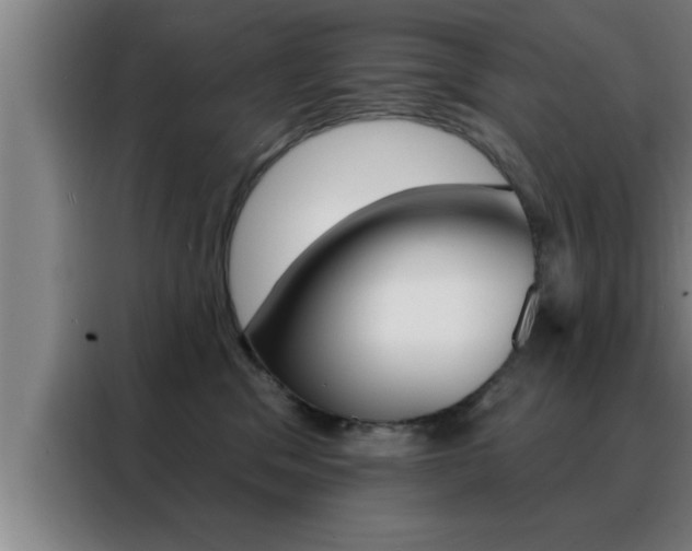 X0000088490329200705221028