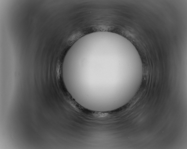 X0000088490334200705221027