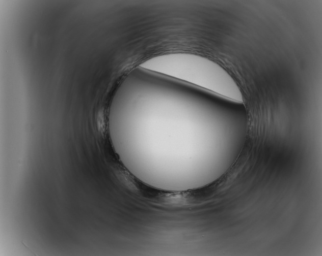 X0000088490335200705221027
