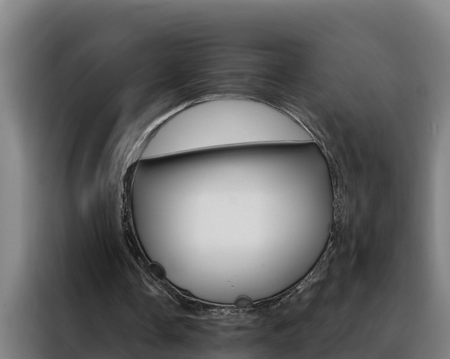 X0000088490338200705221027