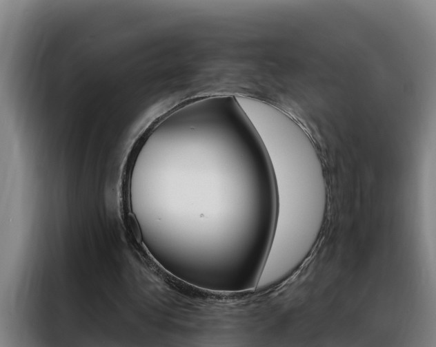X0000088490340200705221027