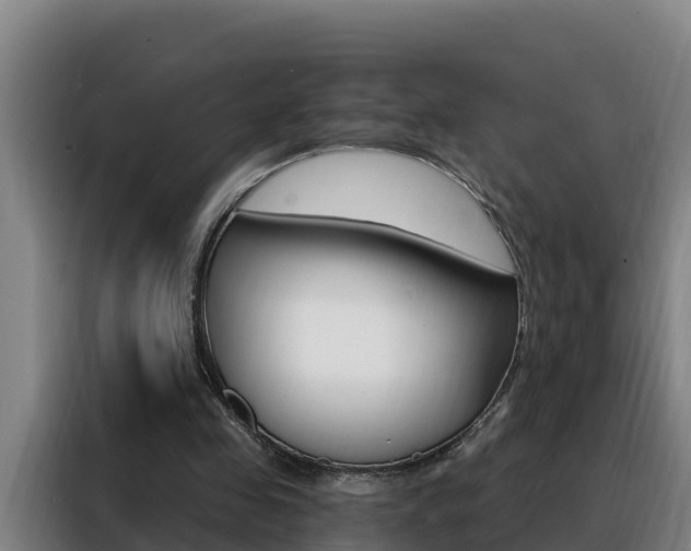 X0000088490341200705221027