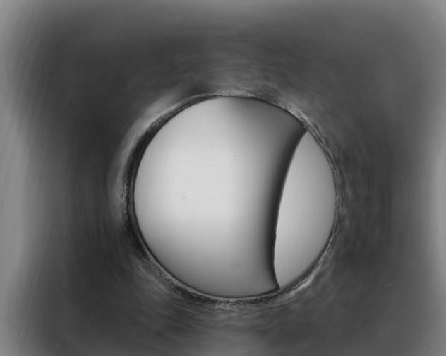 X0000088490343200705221027