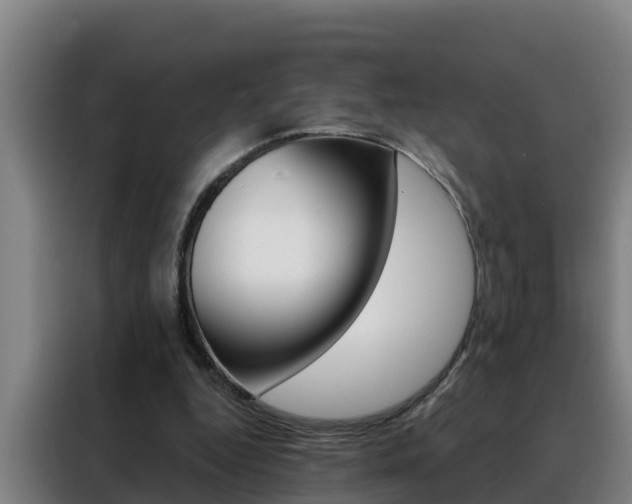 X0000088490344200705221027