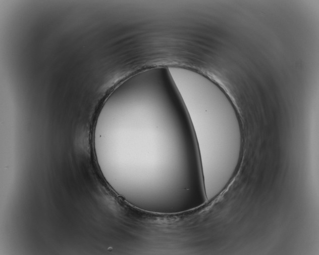 X0000088490345200705221027