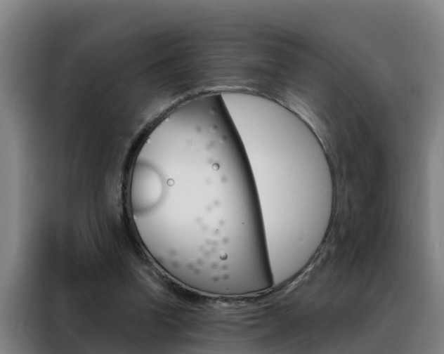 X0000088490346200705221027