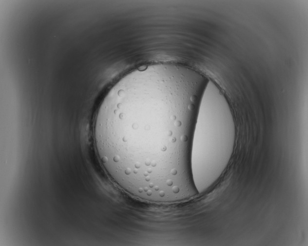 X0000088490351200705221027