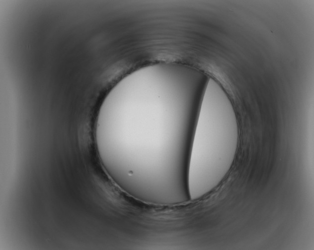 X0000088490354200705221027