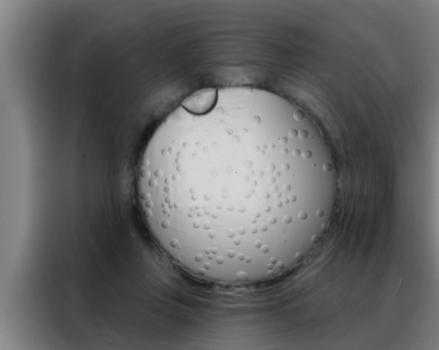 X0000088490359200705221027