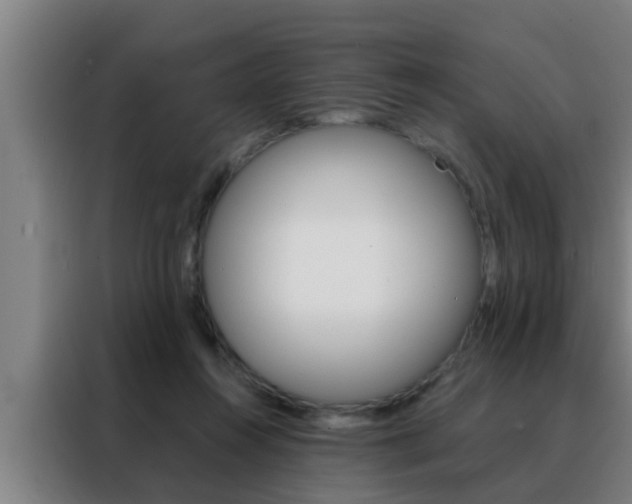X0000088490360200705221027